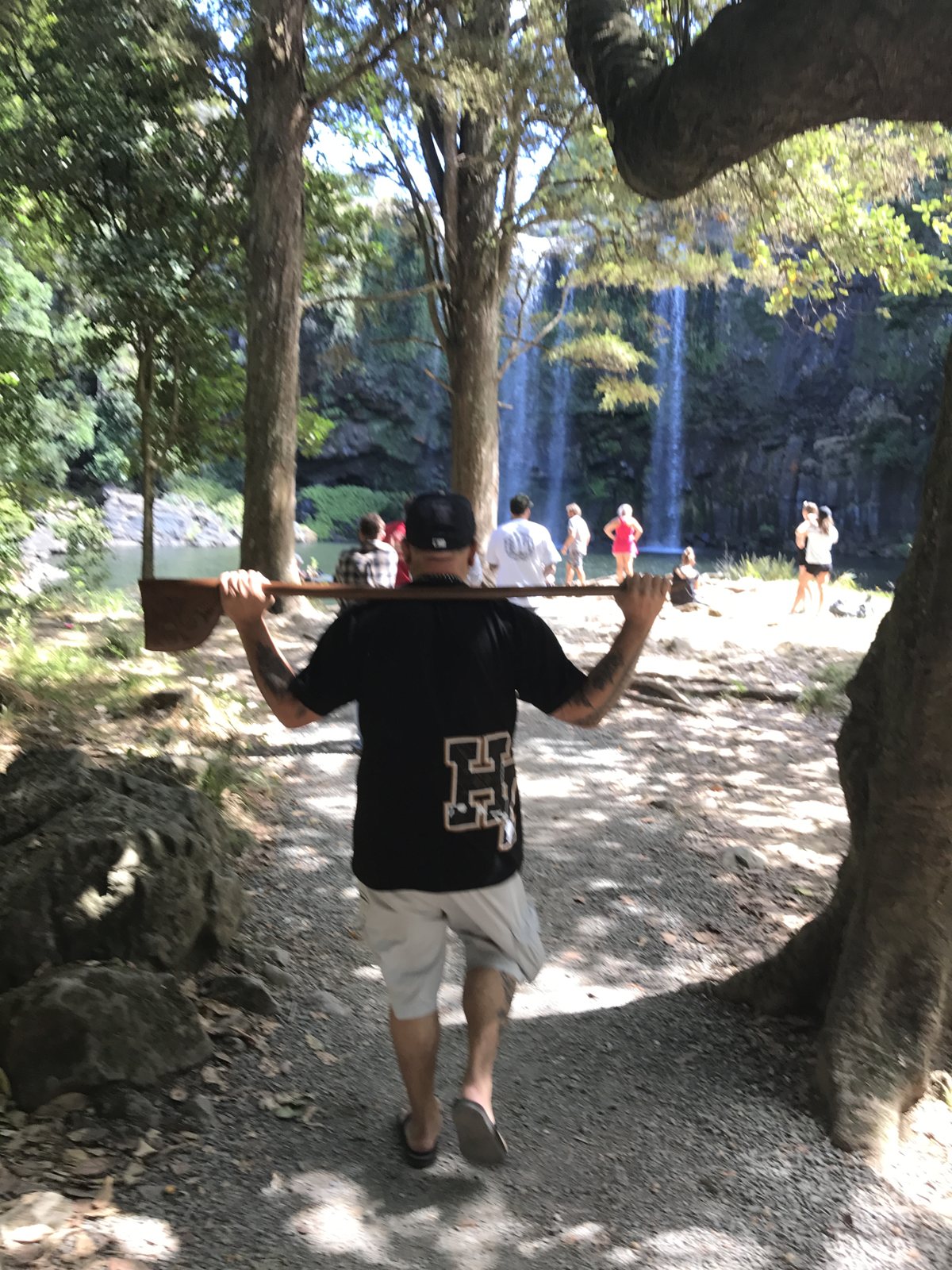 Whangārei Falls, 7 February 2017